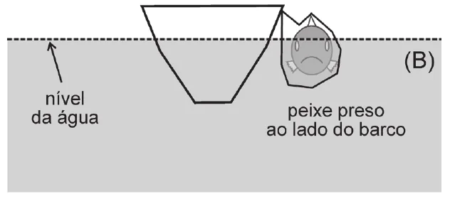Figura B da questão 9 da UNICAMP 2024: peixe preso ao lado do barco