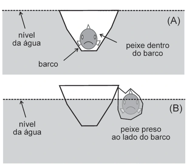 Figura original da UNICAMP 2024, questão 1