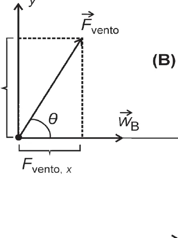 Figura B da questão 10 da UNICAMP 2024: decomposição da força do vento