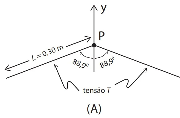 Ponto P na origem de um eixo y vertical; dois segmentos de corda partem de P formando ângulo de 88,9° com o eixo y de cada lado, indicando a tensão T em cada segmento; um dos segmentos tem comprimento L=0,30m