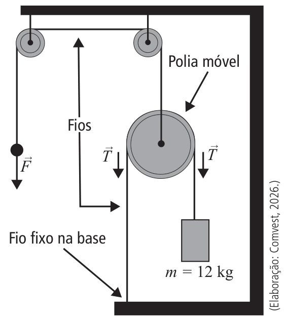 Dois fios distintos: o primeiro aplica F ao eixo da polia móvel por duas polias fixas; o segundo contorna a polia móvel, com uma ponta fixa na base e outra ligada à massa de 12 kg.