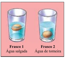 Dois copos: no frasco 1, com água salgada, o ovo flutua perto da superfície; no frasco 2, com água de torneira, o ovo está no fundo.