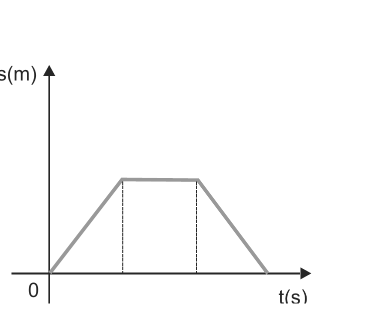Alternativa C, gráfico posição por tempo com afastamento, patamar e retorno