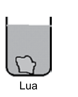 Amostra da Lua no fundo do recipiente com água