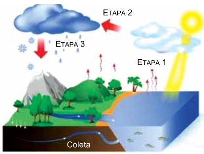 Ciclo da água com etapas 1, 2 e 3 e indicação de coleta