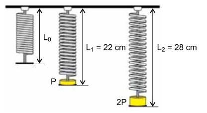 Mola sem carga, com peso P e comprimento 22 cm, e com peso 2P e comprimento 28 cm