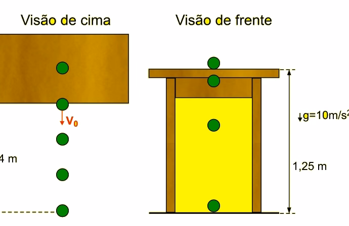 Figura da questão 31 da FAMERP 2017