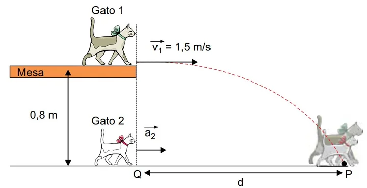 Gato 1 salta em parábola da mesa (0,8m), Gato 2 parte retilineamente do chão. Ambos correm rumo a um ponto idêntico P.