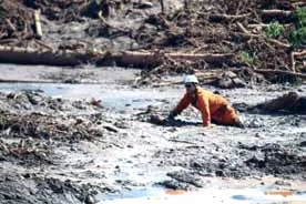 Bombeiros rastejando sobre a lama de rejeitos em Brumadinho