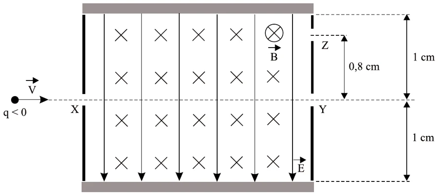 Placas paralelas com campo elétrico E para baixo e campo magnético B entrando no plano; a partícula de carga negativa entra pela fenda X e sai por Y (ou por Z, a 0,8 cm da linha XY)