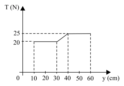 Gráfico da tração T em função da coordenada y: 20 N entre 10 e 30 cm, subindo até 25 N em 40 cm e constante até 60 cm