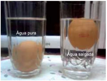 Dois copos: em um, com água pura, o ovo está no fundo; no outro, com água salgada, o ovo flutua na superfície.