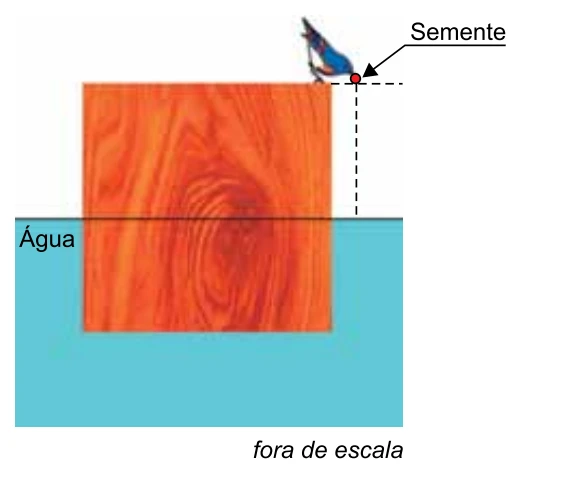 Figura da questão 65 de Física — Santa Casa 2019 CG