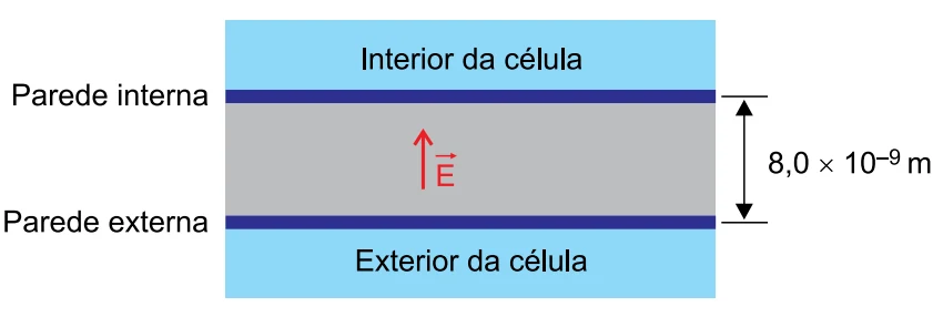 Esquema da membrana celular com campo elétrico e espessura de 8,0 vezes 10 elevado a menos 9 metro da questão discursiva 16