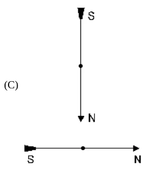 Esquema da alternativa C da questão 20 de Física — UFSCar 2000: agulhas de bússolas