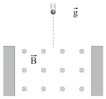Figura da questão 20 de Física — UFSCar 2007