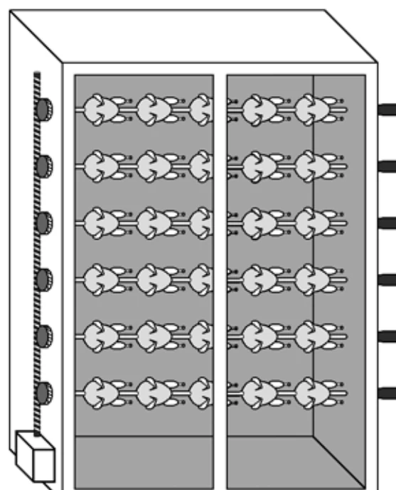 Máquina de assar frangos: uma rosca sem fim vertical, movida por um motor, engrena nas rodas dentadas fixas nas pontas dos espetos horizontais, onde giram os frangos