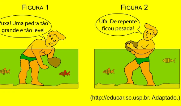 Pedra mantida em repouso totalmente imersa e parcialmente imersa em água
