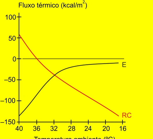 Gráfico do fluxo térmico por evaporação e por radiação e convecção em função da temperatura ambiente