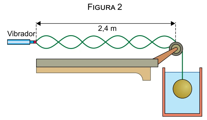 Figura 2: nova onda estacionária no trecho horizontal de 2,4 m da corda, com a esfera totalmente imersa em água