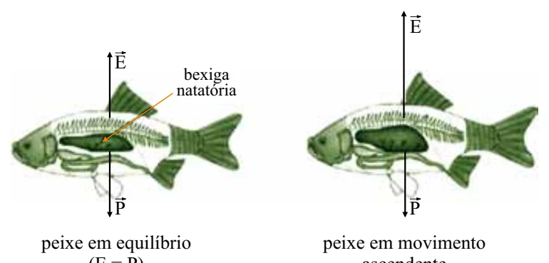 Figura da questão 77 de Física — 1 2012 CG