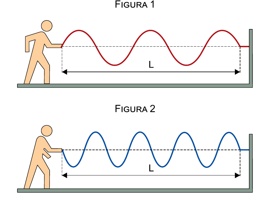 Duas cordas de mesmo comprimento L apresentando ondas com comprimentos de onda diferentes entre a mão de uma pessoa e uma parede