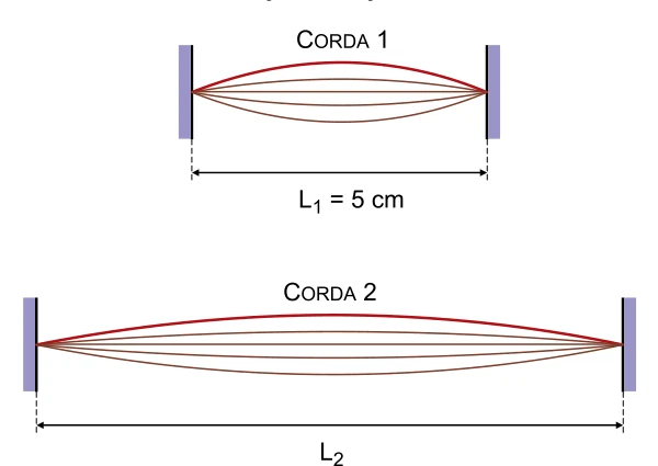 Cordas 1 e 2 vibrando em seus modos fundamentais, com a corda 1 de comprimento 5 cm