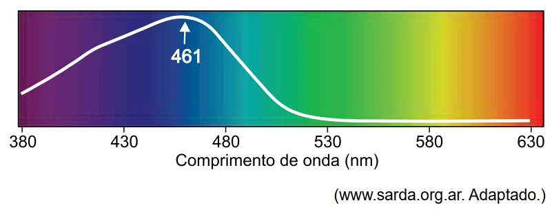 Curva de absorção da bilirrubina em função do comprimento de onda (380 a 630 nm), sobre o espectro visível: pico de absorção em 461 nm, caindo a praticamente zero a partir de aproximadamente 520 nm