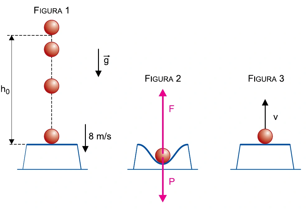Três etapas do movimento da bola de boliche: queda sobre a cama elástica, compressão com as forças F e P e saída vertical com velocidade v