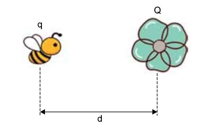 Abelha de carga q e flor de carga Q separadas por uma distância d