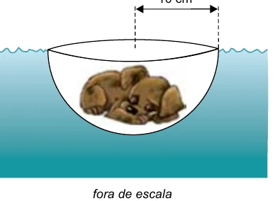 Filhote de cachorro dentro de uma semiesfera de raio 10 cm flutuando na água