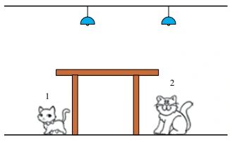 Duas lâmpadas acima de uma mesa opaca, com gato 1 à esquerda e gato 2 à direita