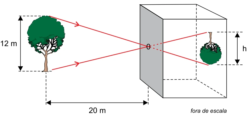 Árvore de 12 m a 20 m do orifício O de uma câmara escura, projetando uma imagem invertida de altura h no fundo da câmara