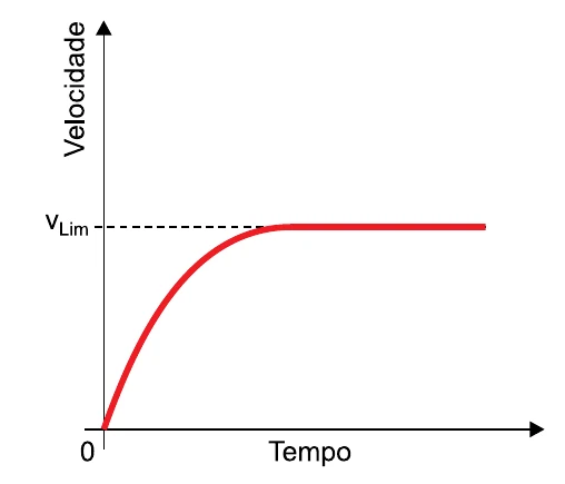 Gráfico da velocidade em função do tempo: curva crescente que se aproxima de um valor constante, a velocidade limite