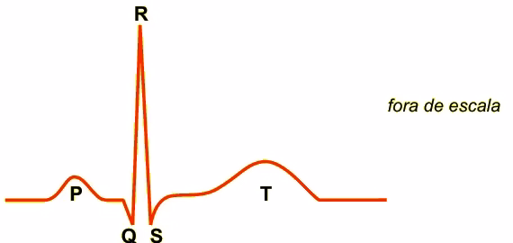 Trecho de um eletrocardiograma com as ondas P, Q, R, S e T