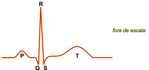 Trecho de um eletrocardiograma com as ondas P, Q, R, S e T