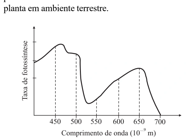Figura da questão 56 de Física — UNIFESP 2003 CG