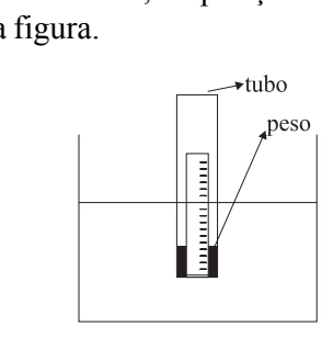 Figura da questão 51 de Física — UNIFESP 2004 CG