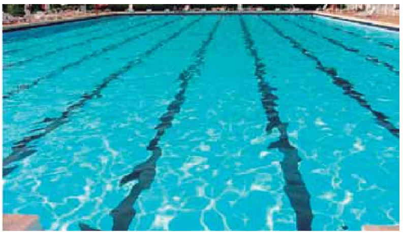Fotografia de uma piscina olímpica com as raias demarcadas por faixas escuras no fundo, vistas através da superfície da água
