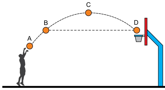 Trajetória parabólica de uma bola de basquete passando pelos pontos A, B, C e D, com B e D na mesma altura e C no ponto mais alto
