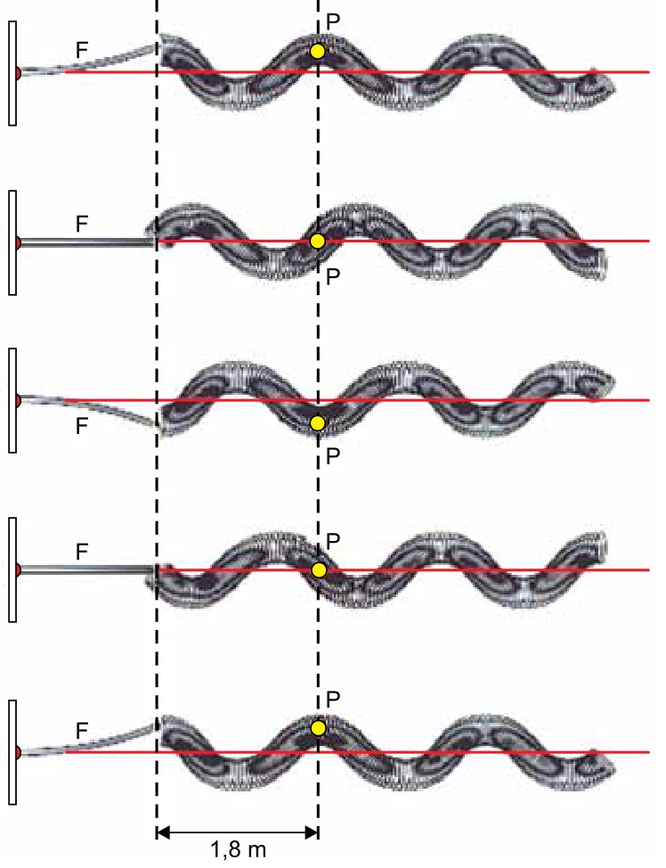 Cinco imagens sucessivas, de I a V, de uma onda transversal em uma mola presa a uma lâmina vibrante F; o ponto P completa uma oscilação e a distância entre as duas linhas tracejadas verticais é de 1,8 m