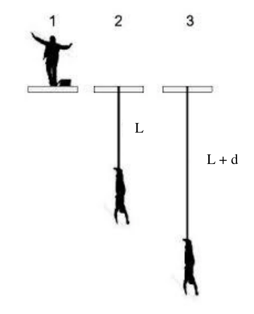 Esquema do salto de bungee jumping da questão 23 da UFT 2020.1