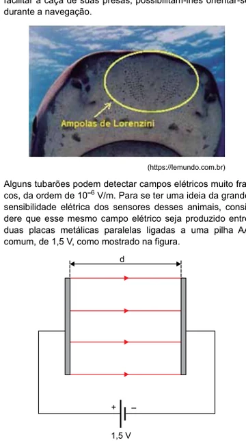 Figura da questão 40 do Albert Einstein 24