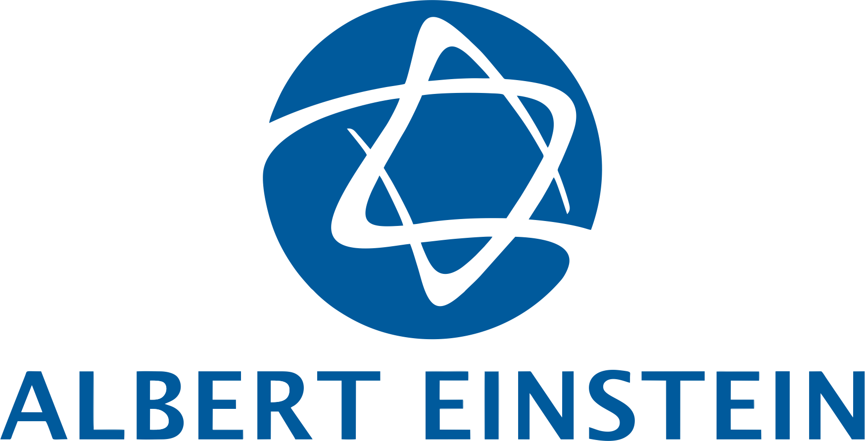 Logo Albert Einstein